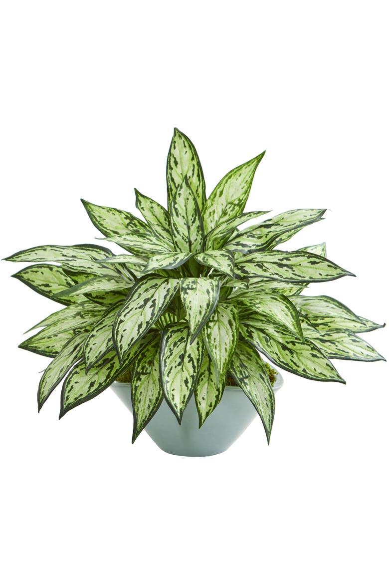 Silver Queen Artificial Plant in Green Vase, Main, color, Green