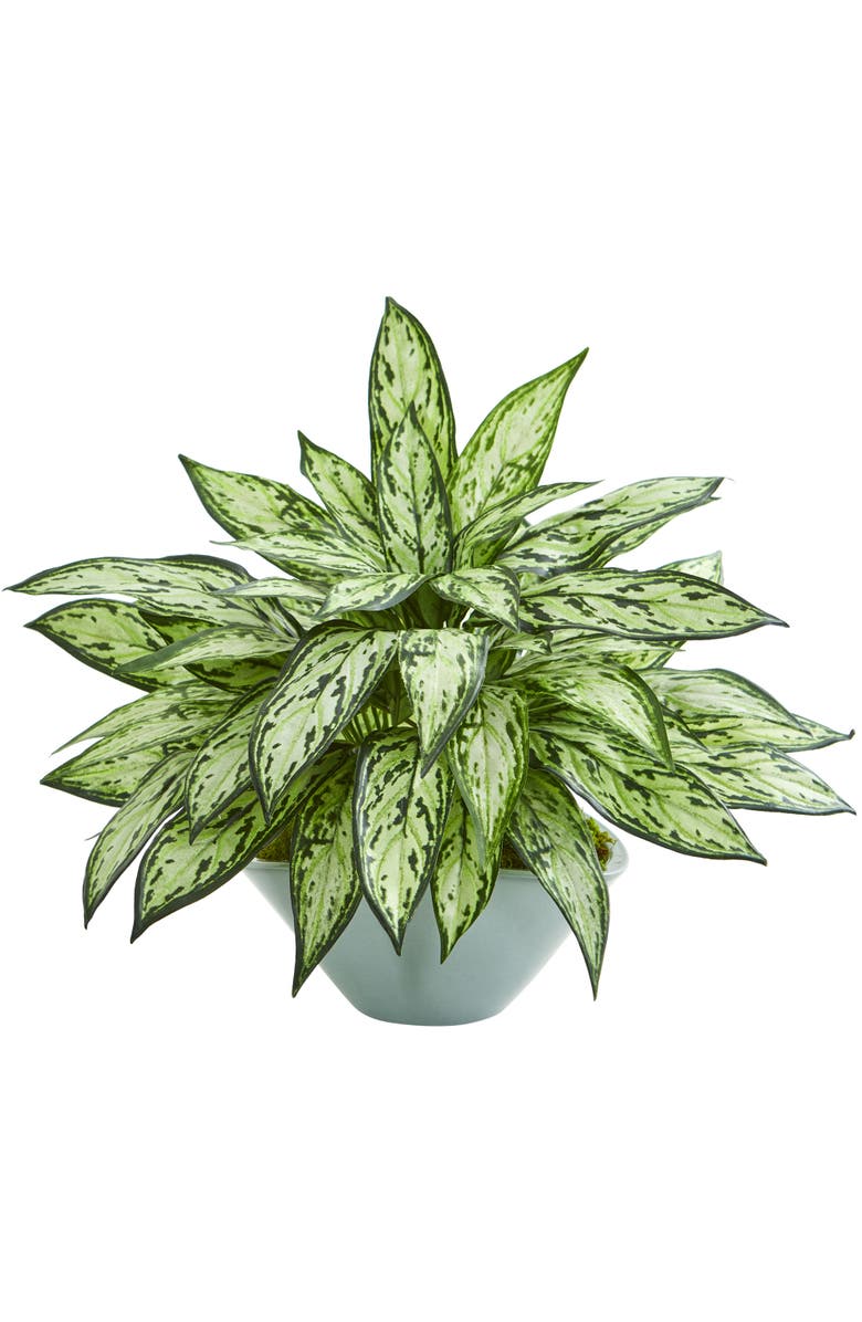 NEARLY NATURAL Silver Queen Artificial Plant in Green Vase, Main, color, Green