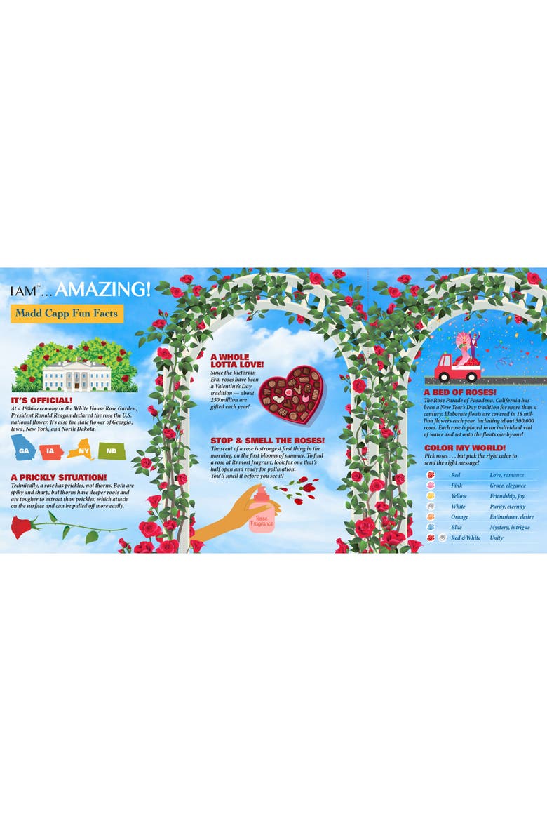 ROSE 350 Piece Jigsaw Puzzle, Alternate, color, Multicolored