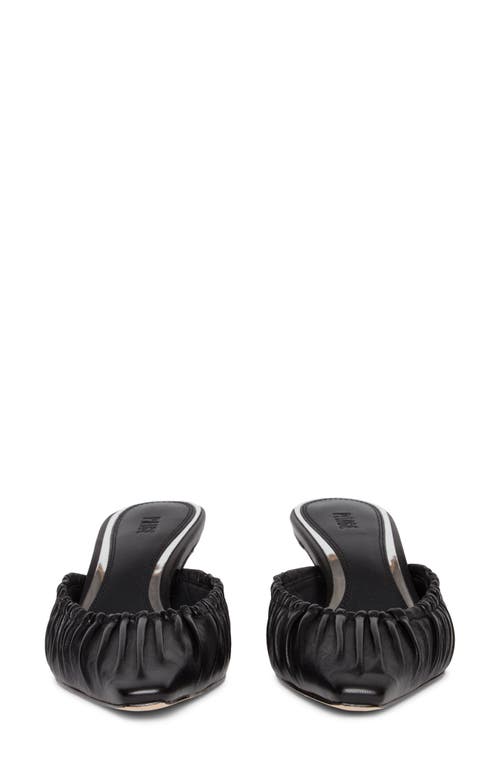 Paige Alice Mule