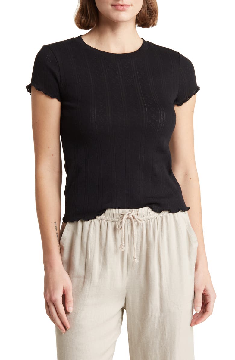 Splendid Como Pointelle T-Shirt, Main, color,