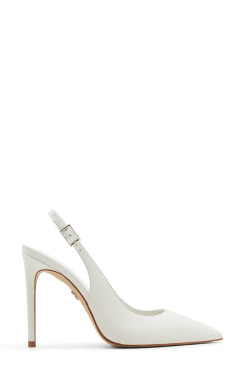 Aldo Stessy Slingback Pointed Toe Pump