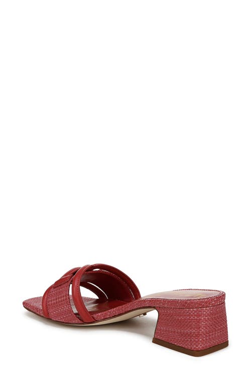 Shop Sam Edelman Waylon Slide Sandal In Dark Rose
