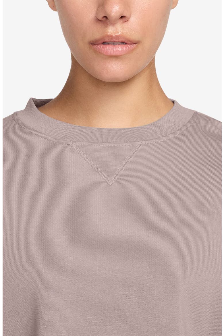 Oversize Fleece Crop Sweatshirt, Alternate, color, PARTICLE ROSE/ BARELY ROSE