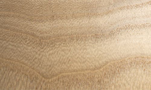 Zodax Alicante Paulownia Wood Vase In Brown