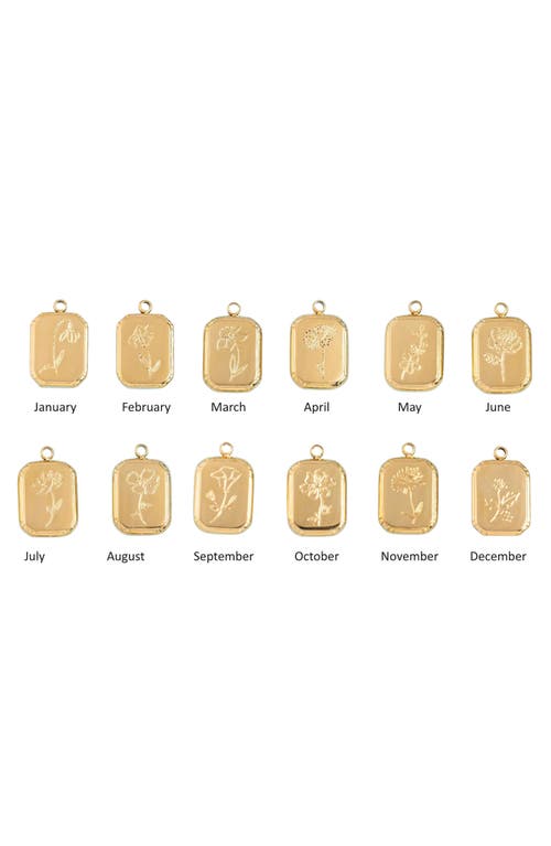 Set & Stones Audrey Birth Flower Pendant Necklace In Gold