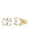 Hello Gorgeous Stud Earrings
