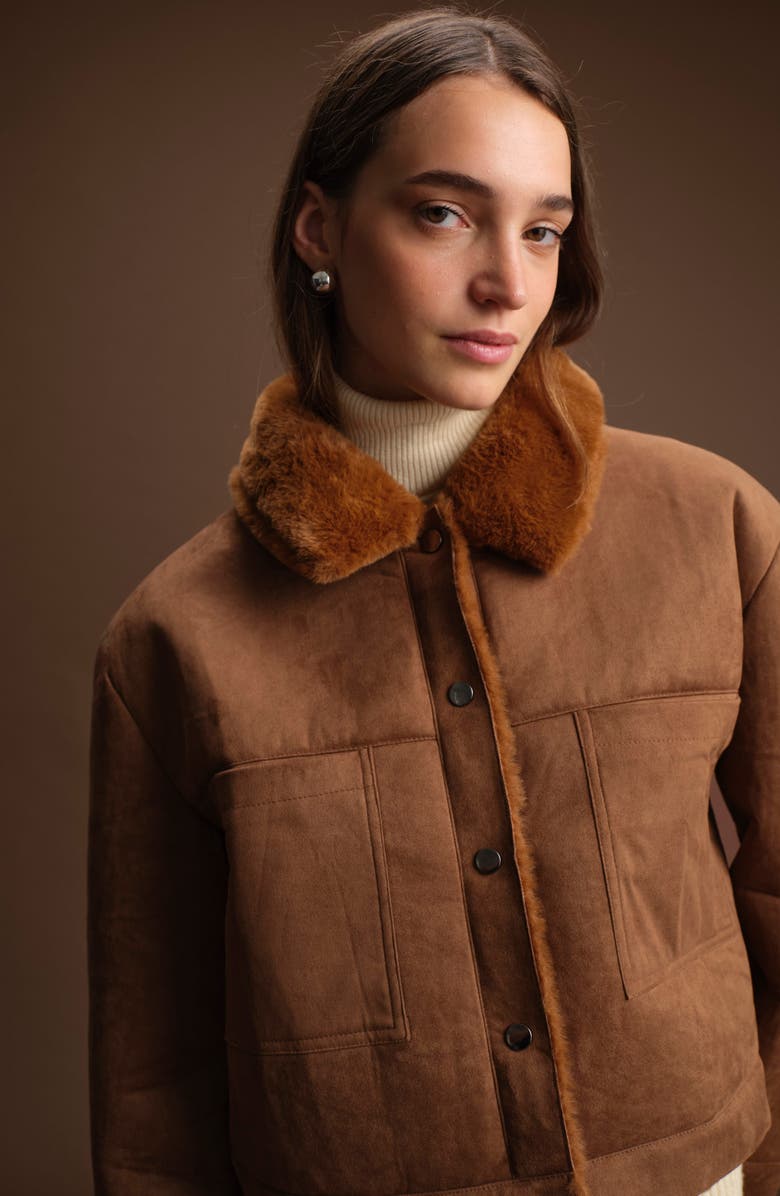 DELUC Mathew Faux Suede & Faux Shearling Jacket, Alternate, color, Almond