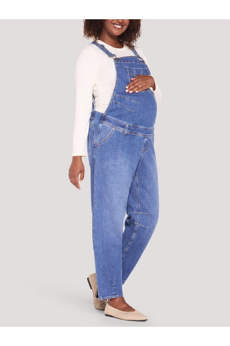 Barrel Leg Denim Overall, Alternate, color, Metz Medium Wash