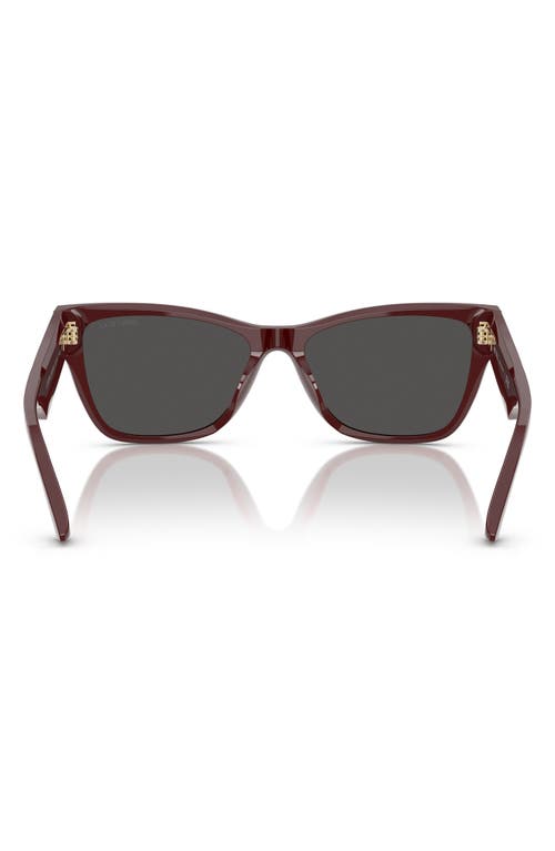 Jimmy Choo 55mm Pillow Sunglasses In Red