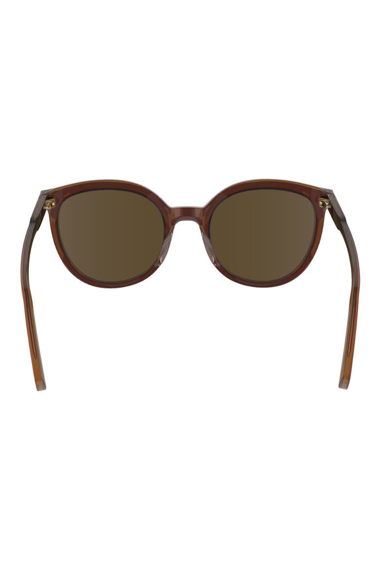 50mm Round Sunglasses, Alternate, color, BROWN/ CARAMEL