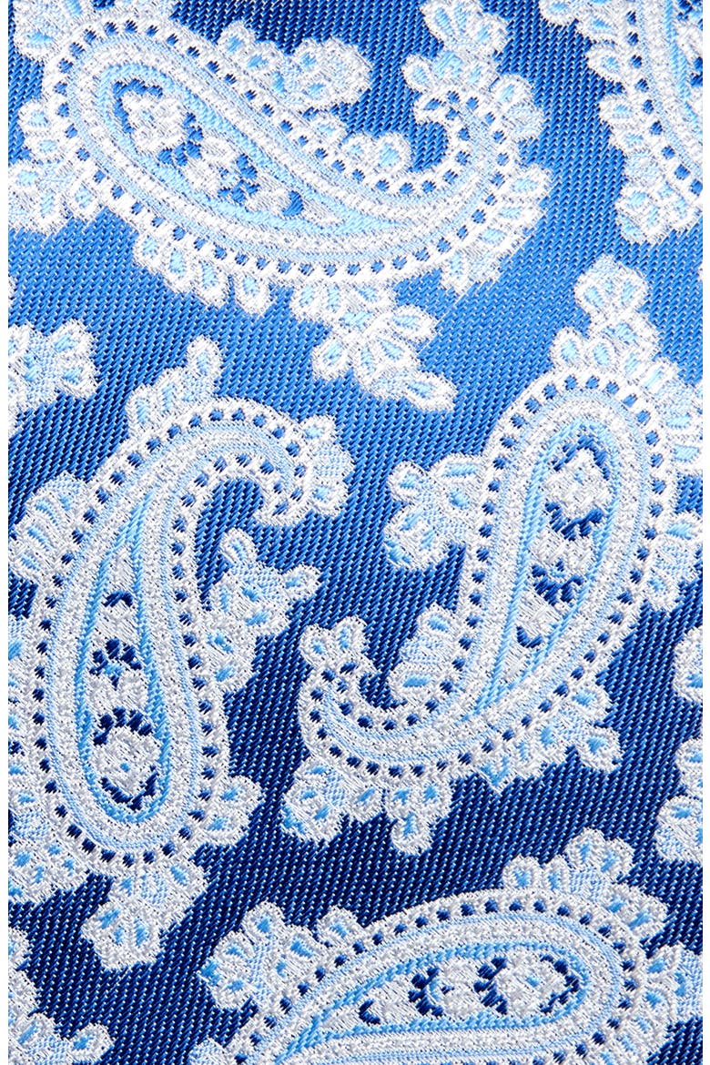 Paisley Silk Tie, Alternate, color, BLUE