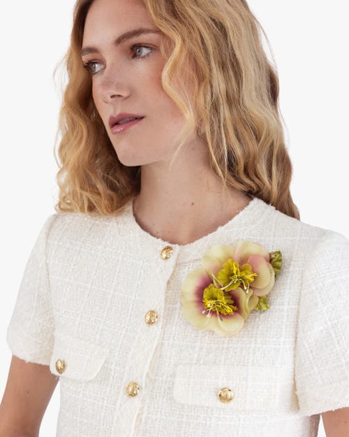 Helena Simon The Hellebore Floral Brooch In Multi