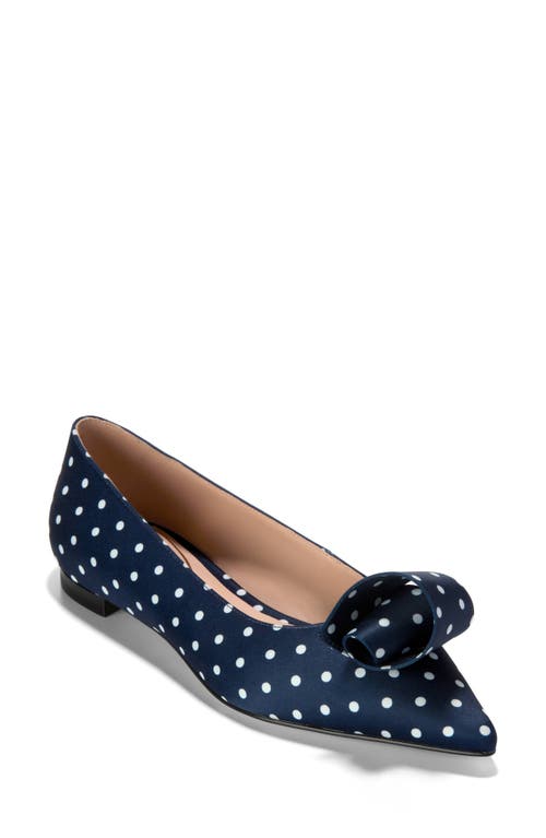 Cole Haan Florette Pointed Toe Skimmer Flat In Blue