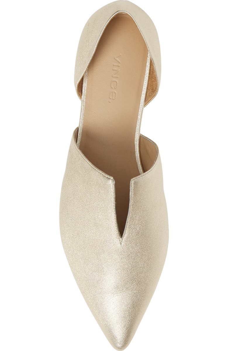 Vince Darlington Flat, Alternate, color,