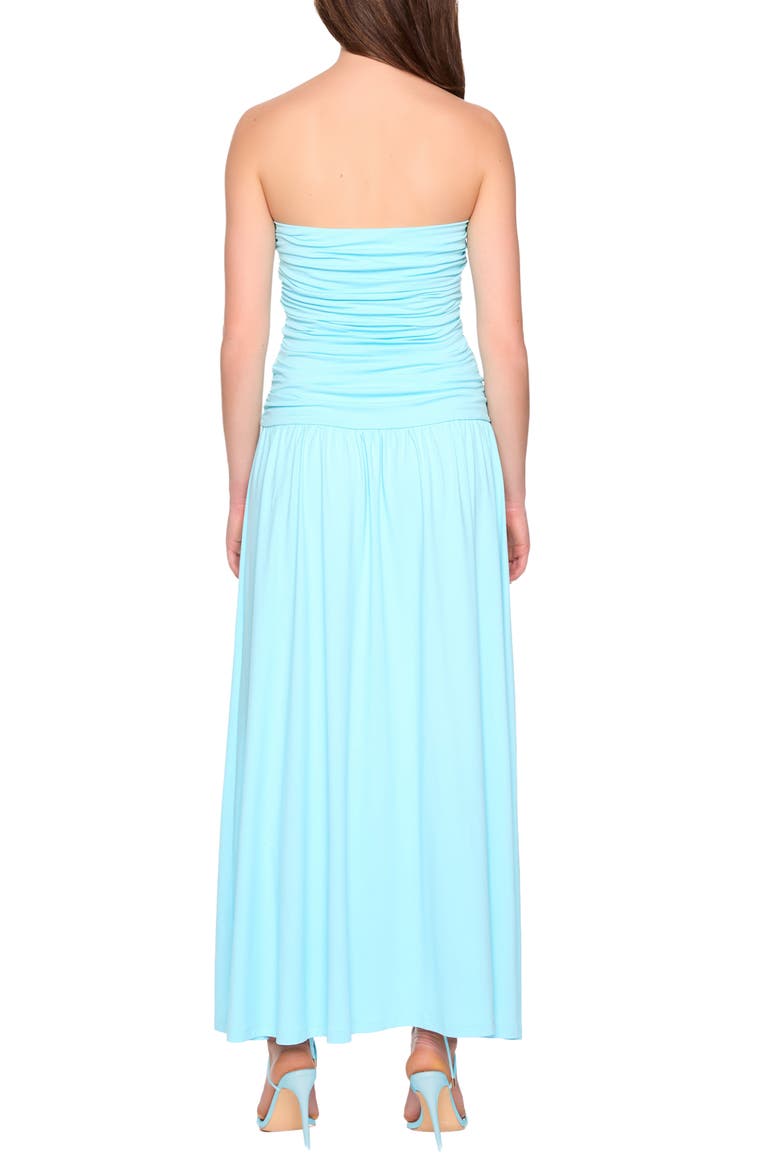 Ruched Tube Maxi Dress, Alternate, color, FRESH WATER