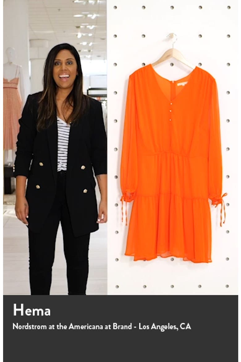 Prairie Chiffon Long Sleeve Dress video