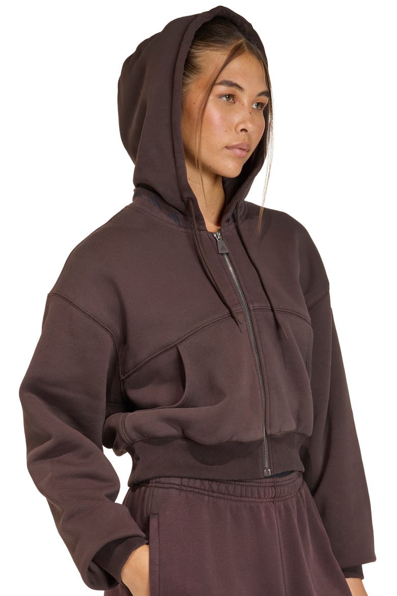 Full Zip Cropped Hoodie, Alternate, color, AURORA COFFEE/