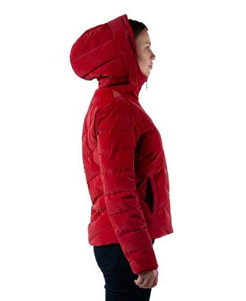 Woodpecker Robin Medium Weight Coat In Red