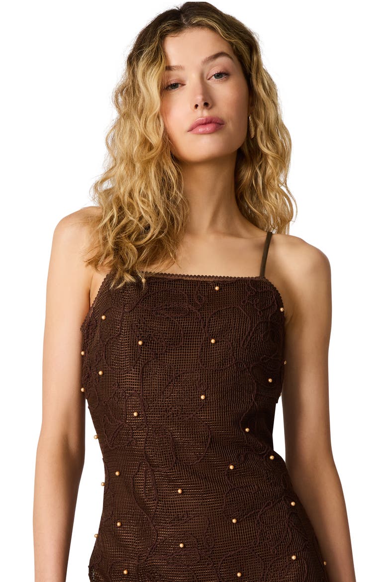 Maureene Bead Detail Floral Mesh Dress, Alternate, color, CHICORY COFFEE