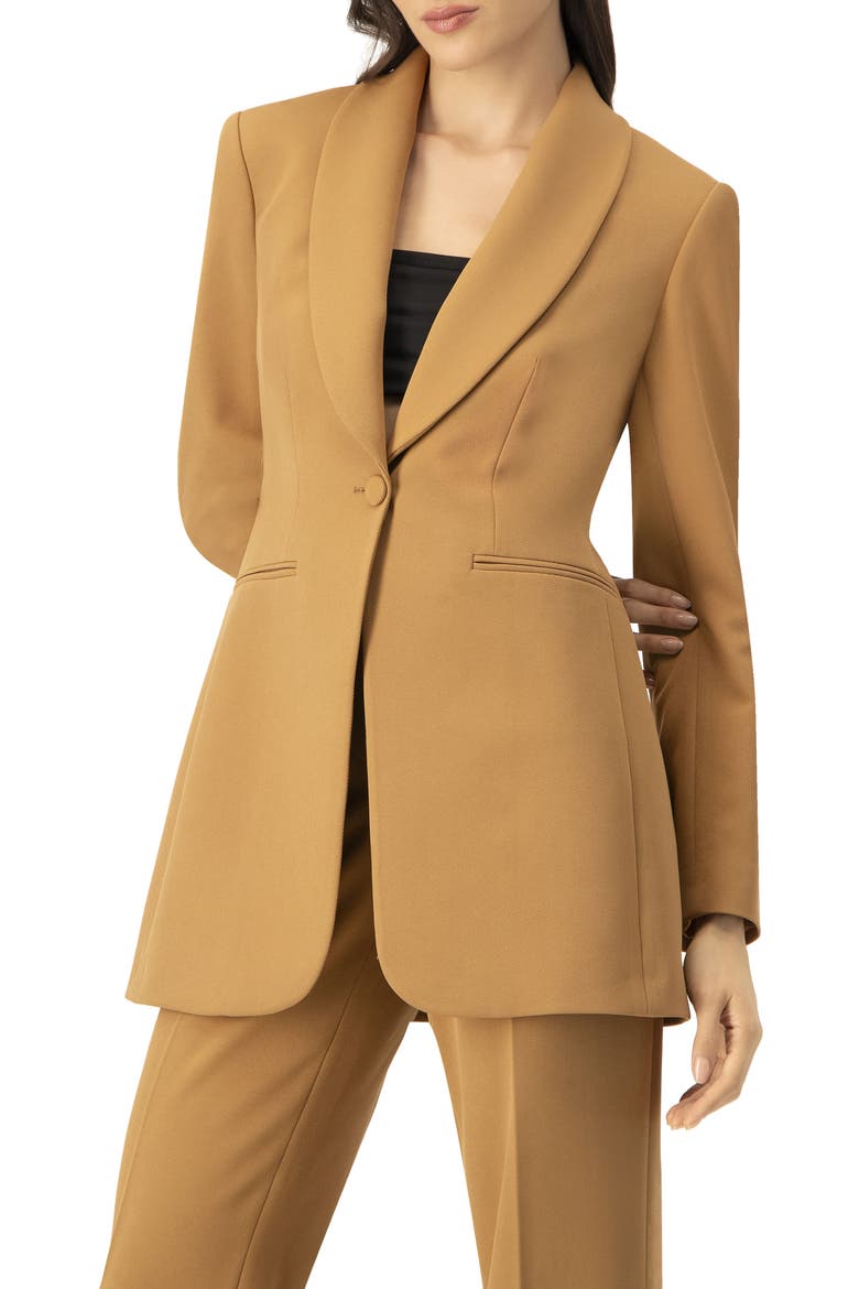 Single-Button Shawl Lapel Blazer, Alternate, color, Camel