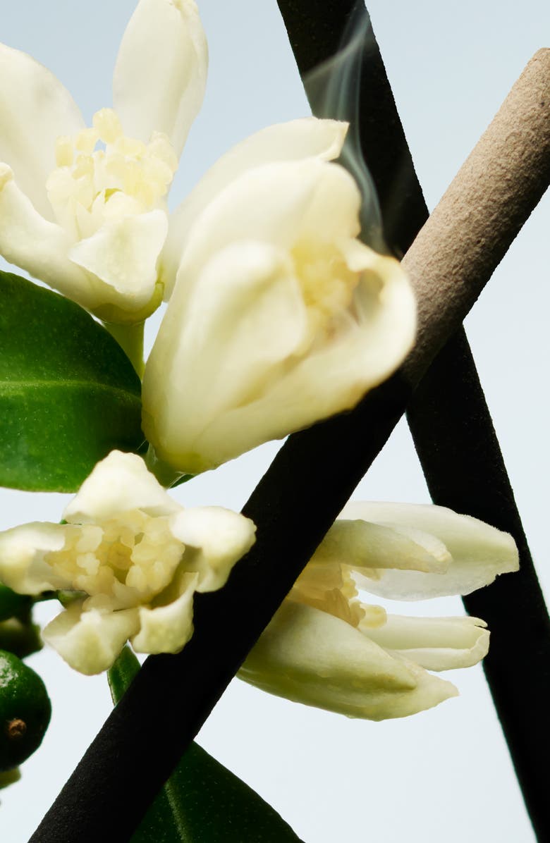 Dries Van Noten Sur Ma Peau Eau de Toilette, Alternate, color, 