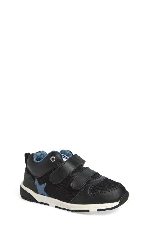 Old Soles Cefalu Sneaker In Multi