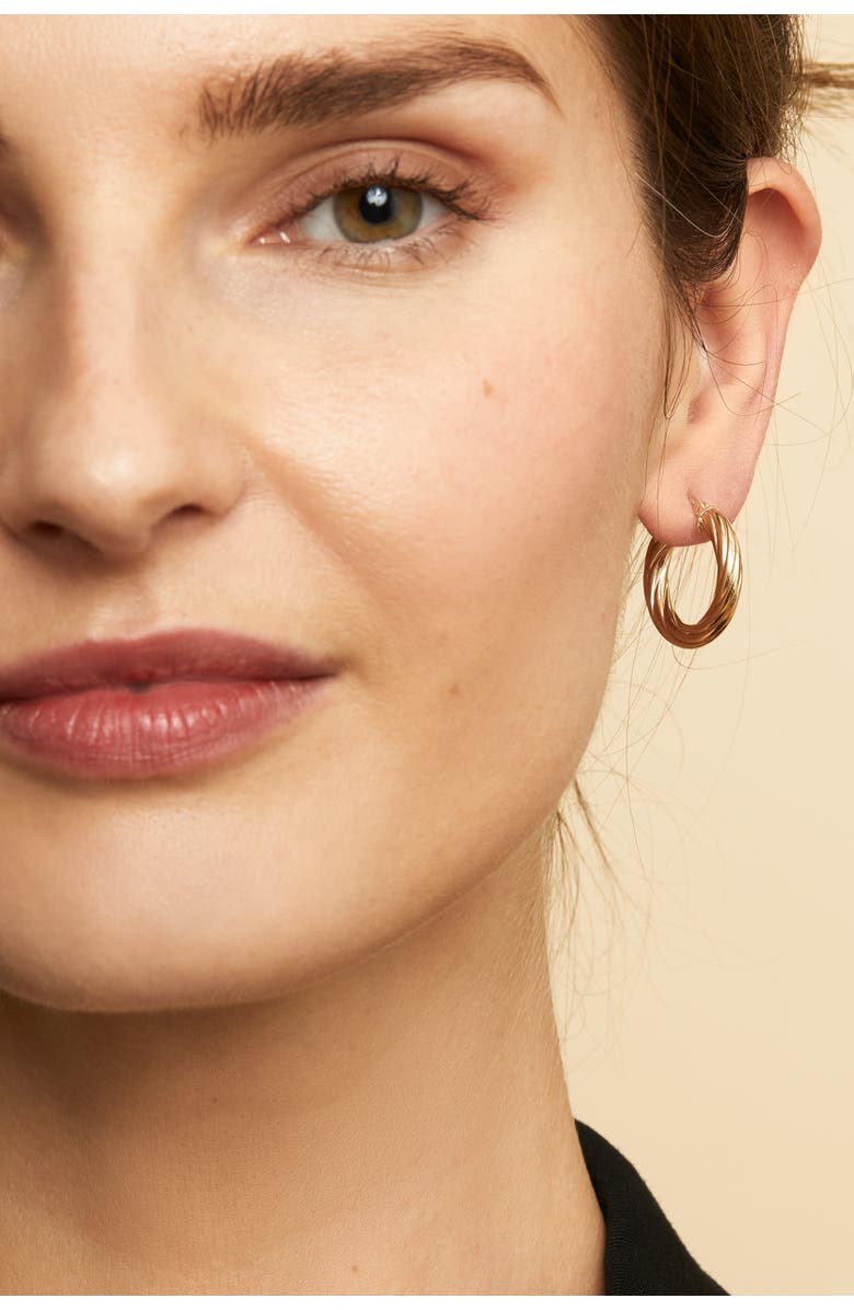 Oradina 14K Gold With A Twist Round Hoops, Alternate, color, Yellow Gold