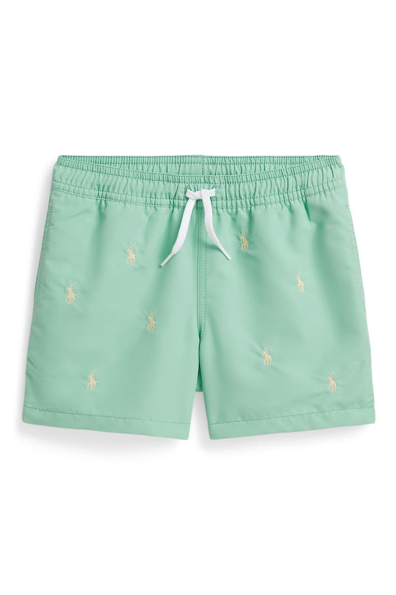 Kids' Traveler Embroidered Pony Swim Trunks, Main, color, CELADON