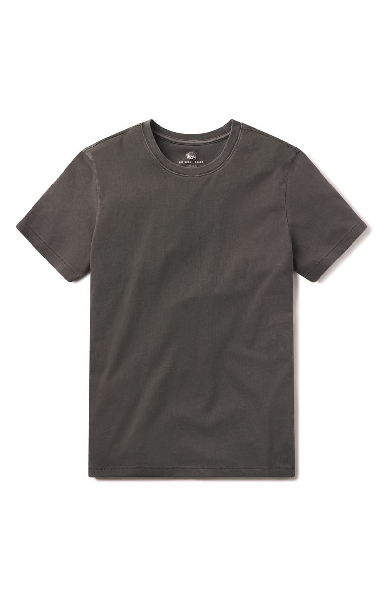 The Normal Brand Normal Cotton Jersey T-Shirt, Alternate, color, 