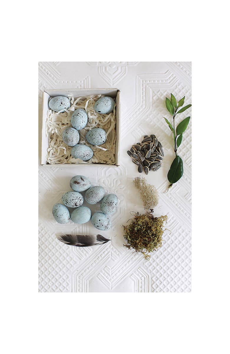 Storied Home Boxed Set of 12 Blue Speckled Ceramic Robin Eggs, Alternate, color,