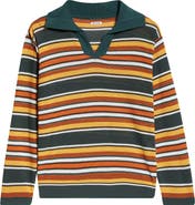 Bode Boxy Parakeet Stripe Long Sleeve Polo