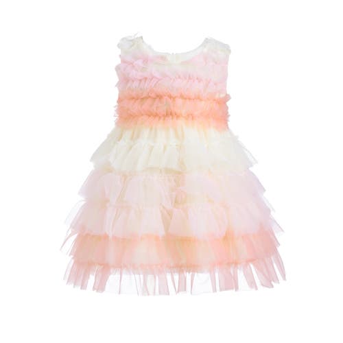 Tulleen Ruffle Layered Tulle Dress