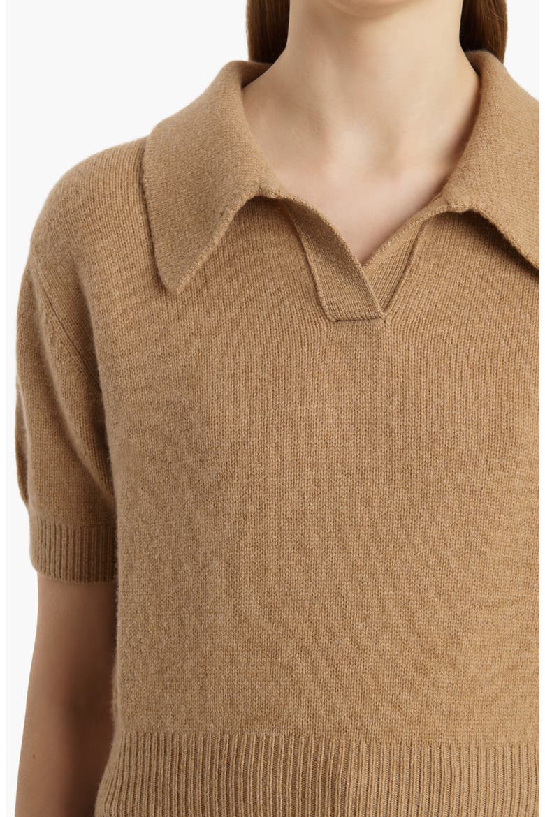 Leni Stretch Merino Wool & Cashmere Polo Sweater, Alternate, color, CAMEL