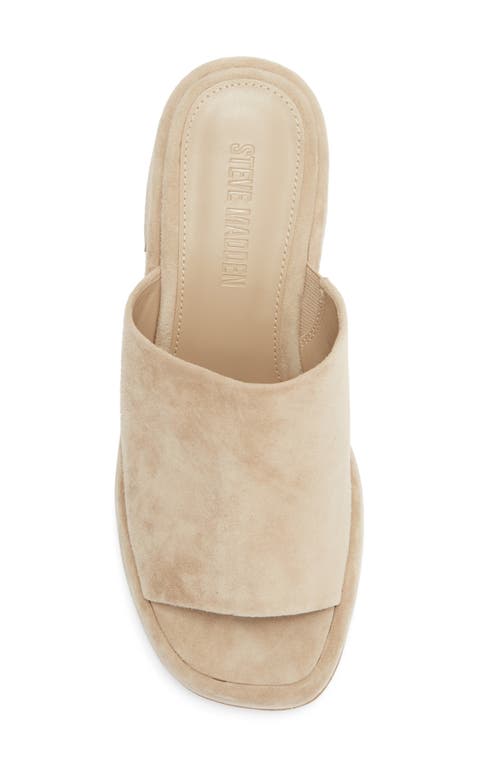 Steve Madden Shanton Platform Slide Sandal In Brown