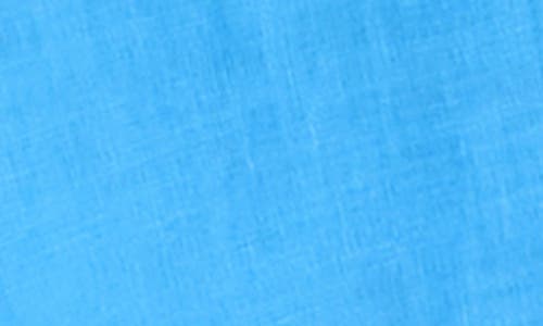 Eileen Fisher Classic Linen Long Sleeve Shirt In Azure In Azure