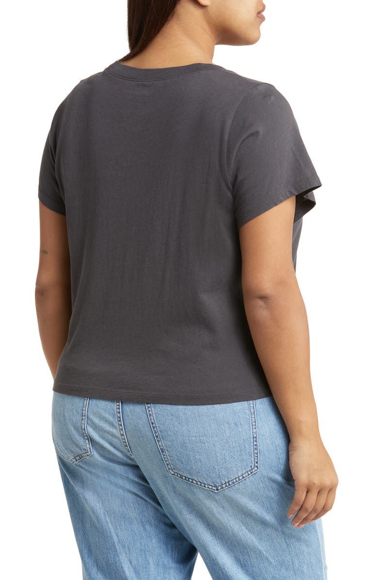 Madewell Bella Cotton Jersey T-Shirt, Alternate, color,