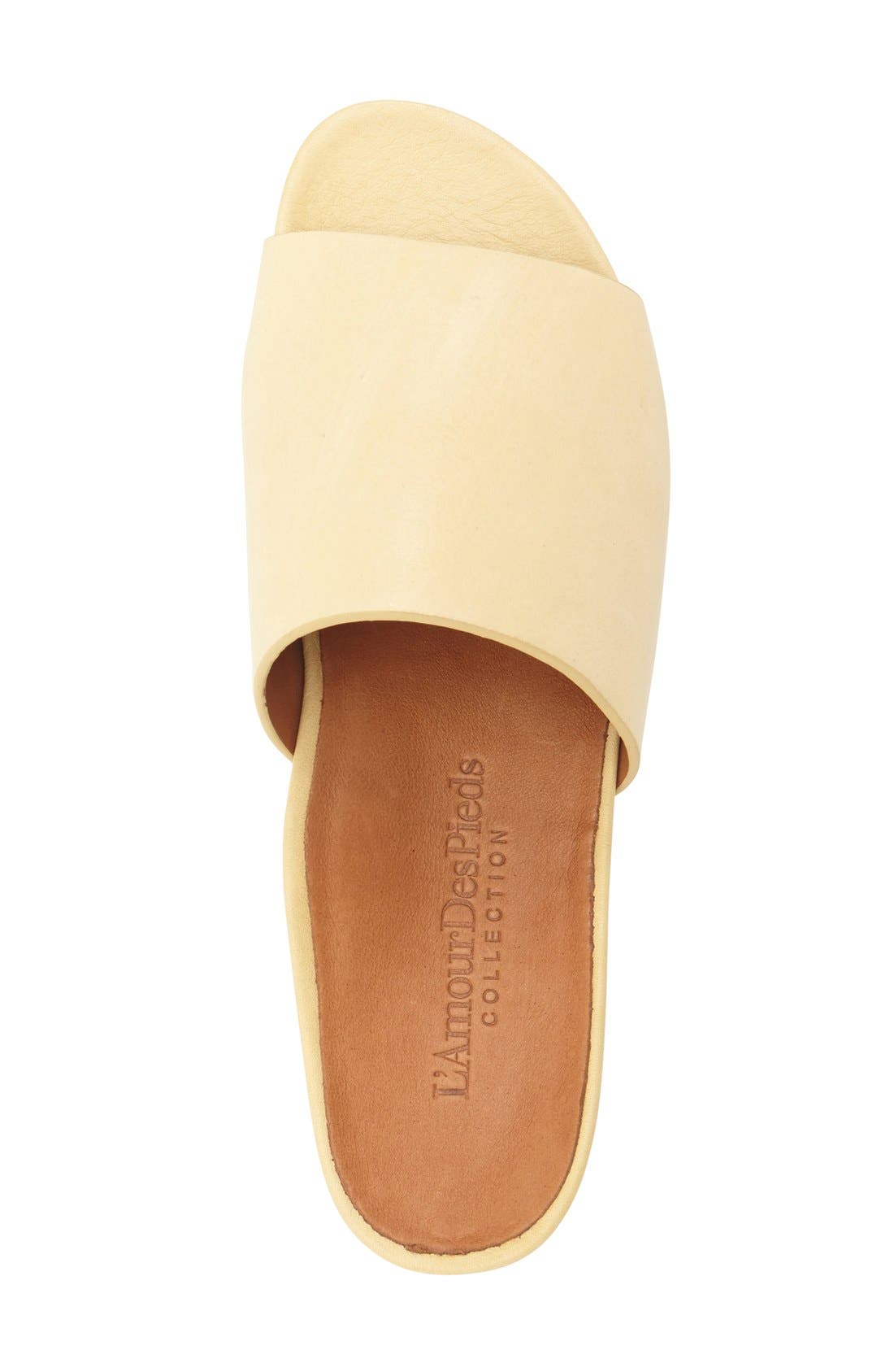 L'Amour des Pieds 'Daney' Flat Slide Sandal, Alternate, color, 