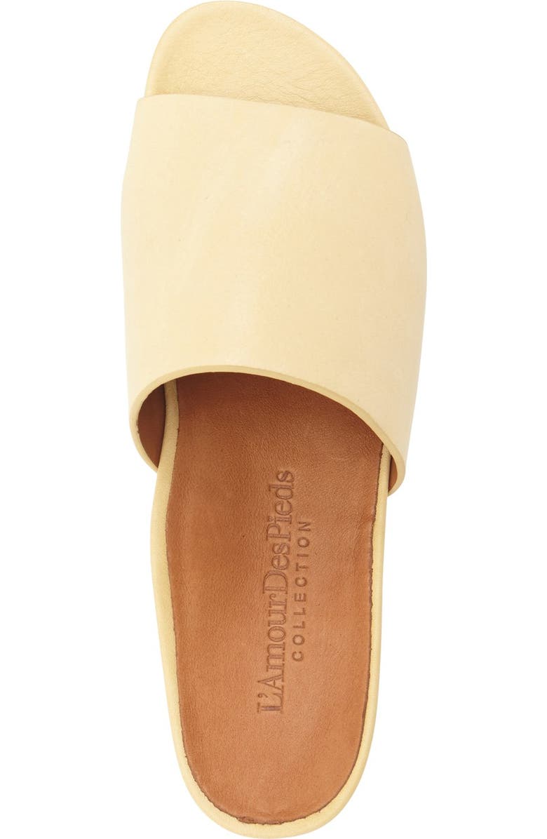 L'Amour des Pieds 'Daney' Flat Slide Sandal, Alternate, color,