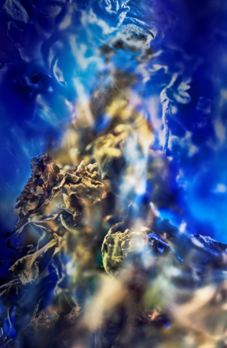 BVLGARI Le Gemme Gyan Eau de Parfum, Alternate, color, 