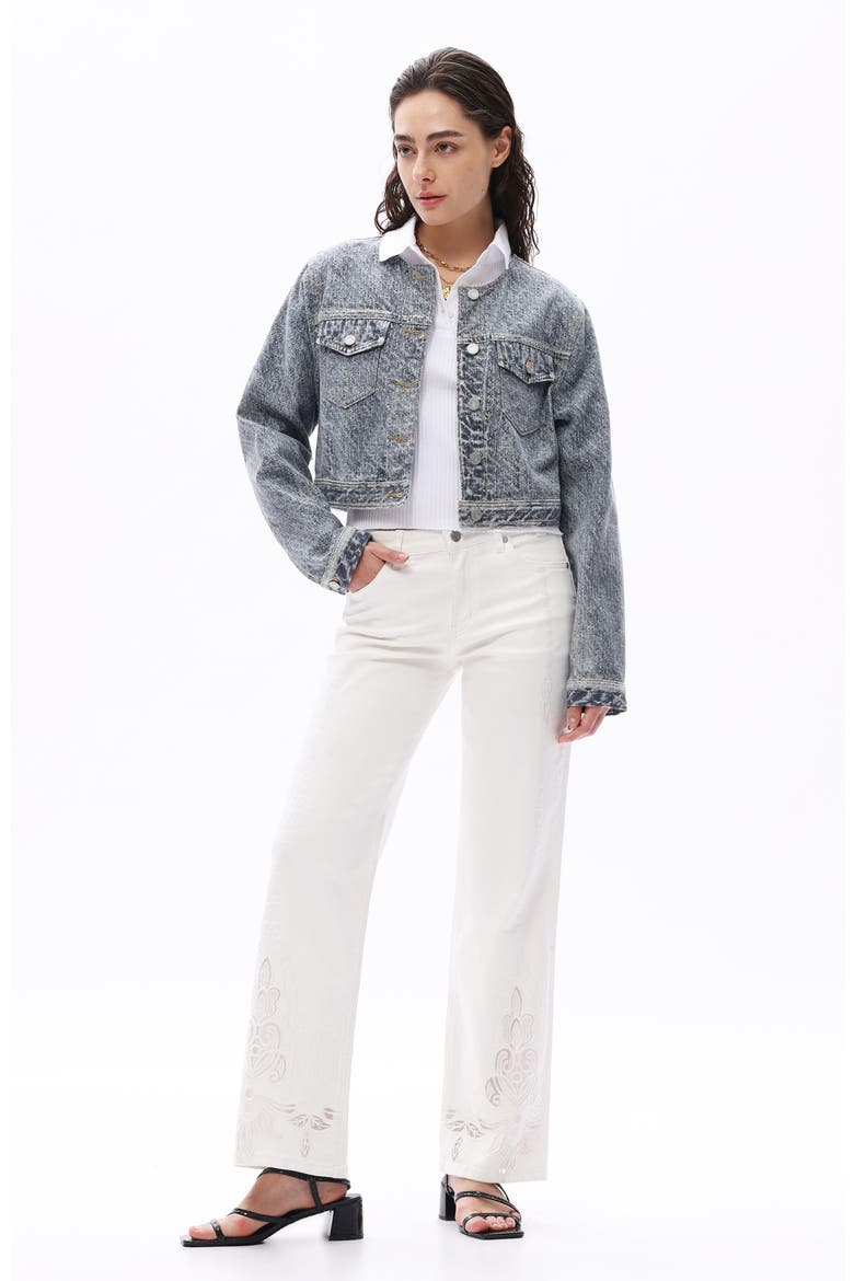 Print Denim Jacket, Alternate, color, MEDIUM BLUE