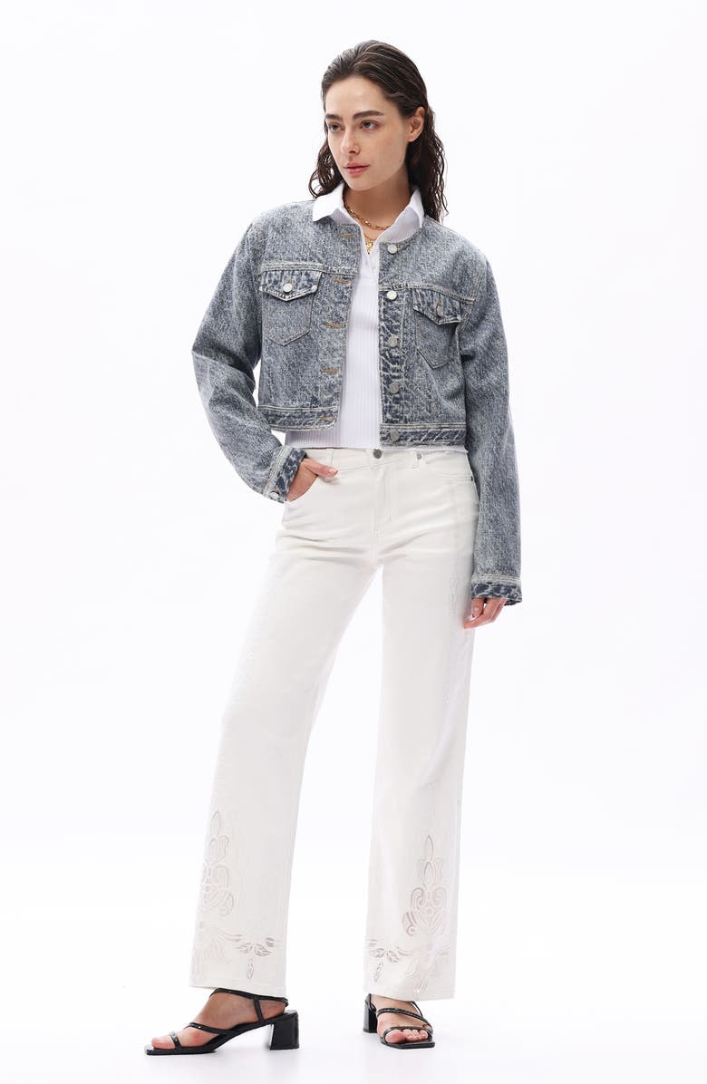 Bayeas Print Denim Jacket, Alternate, color, Medium Blue