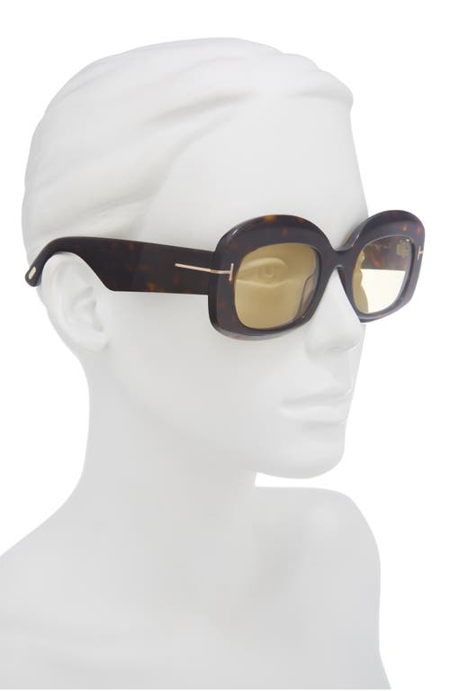 Tom Ford 53mm Square Sunglasses In Brown