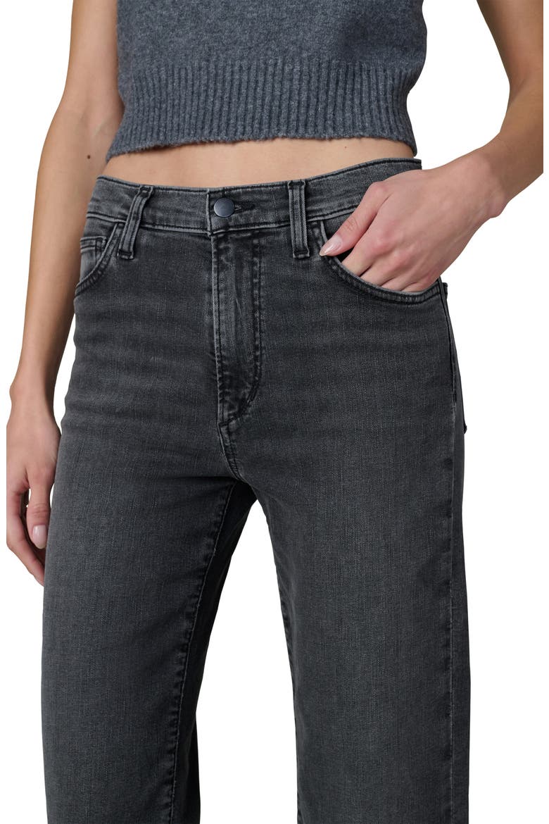 The Blake Crop Wide Leg Jeans, Alternate, color, AFFLUENCE