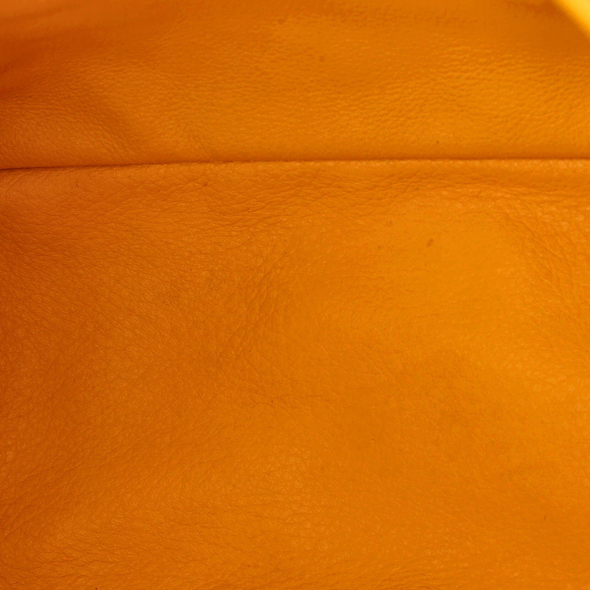 Pre-Owned Goyard Anjou Reversible Tote Coated Canvas Mini, Alternate, color, Yellow