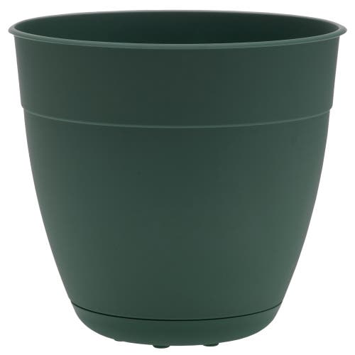 Bloem 12" Dayton Planter With Saucer Tray, Turtle Green In Green