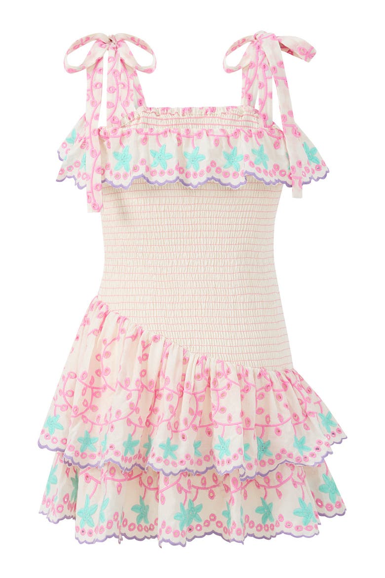 Alanna Shirred Embroidered Mini Dress, Alternate, color, Multi