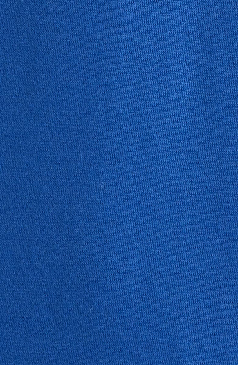 Swannies Fetch Graphic T-Shirt, Alternate, color, Blue