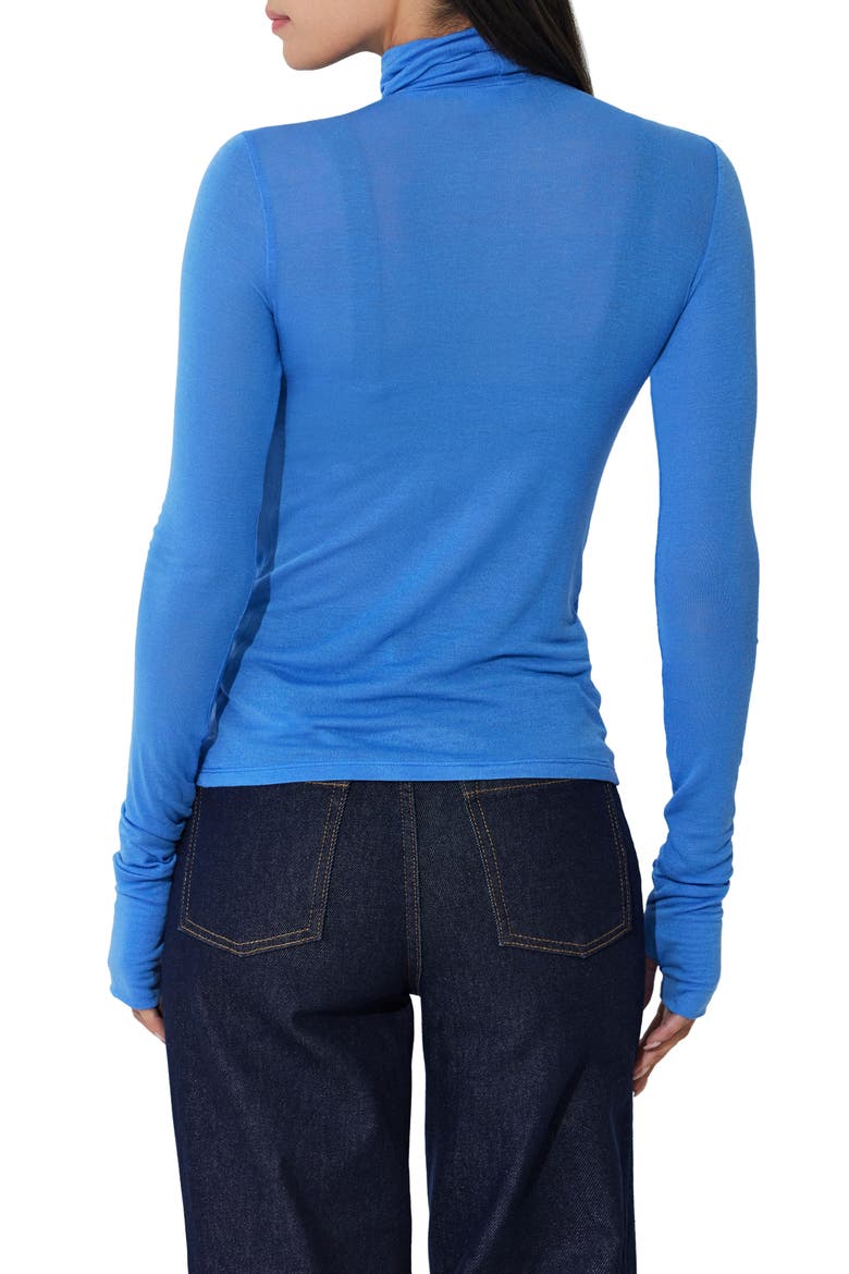 Eloise Sheer Turtleneck Top, Alternate, color, SKY BLUE