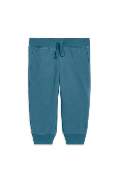 The Baby Jogger